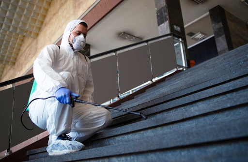 Mold Clean