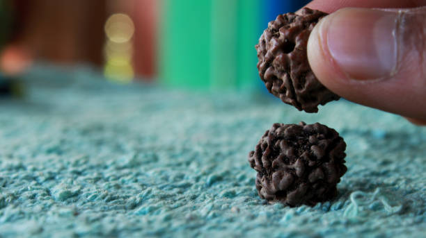 how to identify original Rudraksha